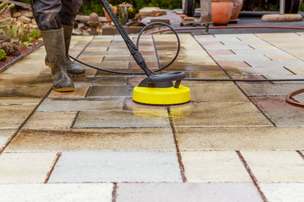 Best Patio and Deck Pressure Washing  in Lakeland, MN