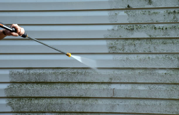 Professional Pressure Washing Services in Lakeland, MN